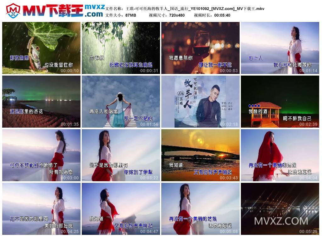 王琪-可可托海的牧羊人_国语_流行_YE101092